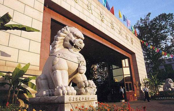 大专毕业证丢了怎么办