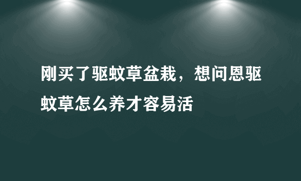 刚买了驱蚊草盆栽，想问恩驱蚊草怎么养才容易活