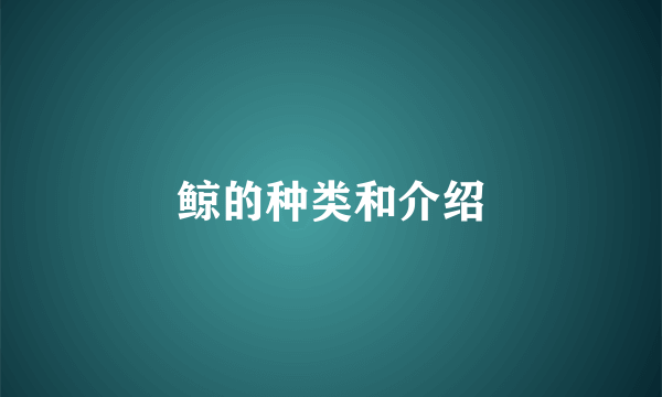 鲸的种类和介绍