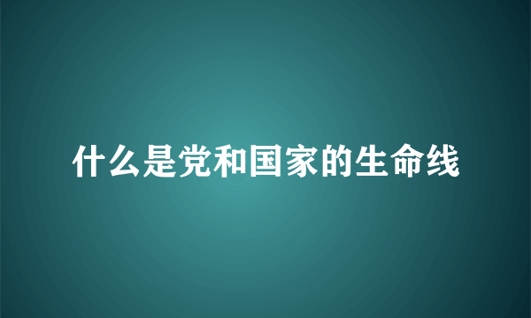 什么是党和国家的生命线