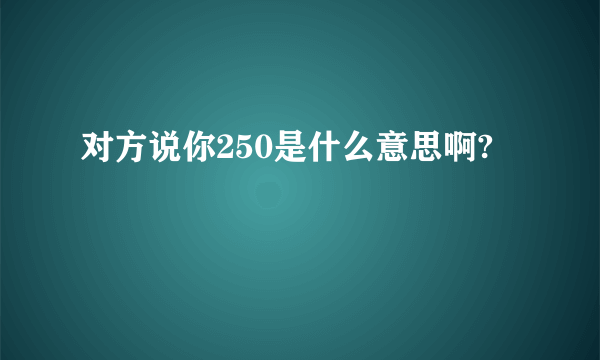 对方说你250是什么意思啊?