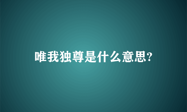 唯我独尊是什么意思?
