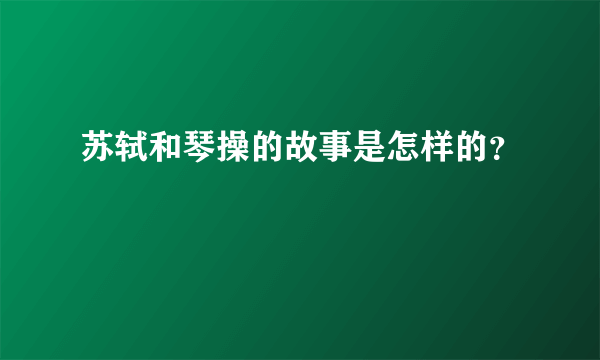 苏轼和琴操的故事是怎样的？
