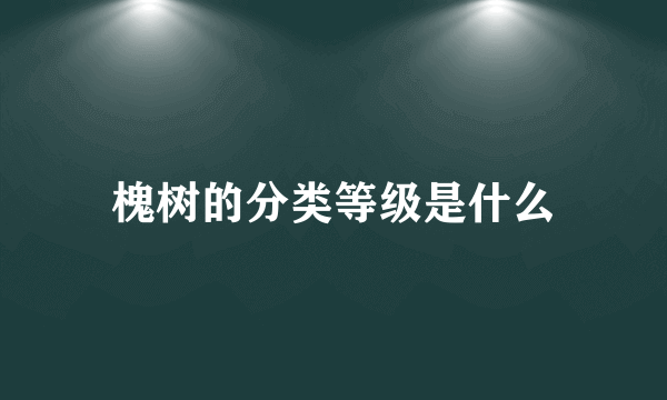 槐树的分类等级是什么