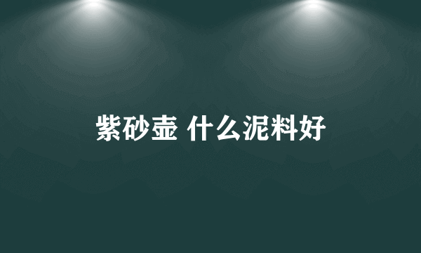 紫砂壶 什么泥料好