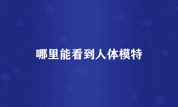 哪里能看到人体模特