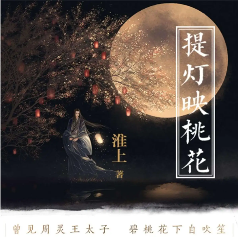 提灯映桃花 by淮上
