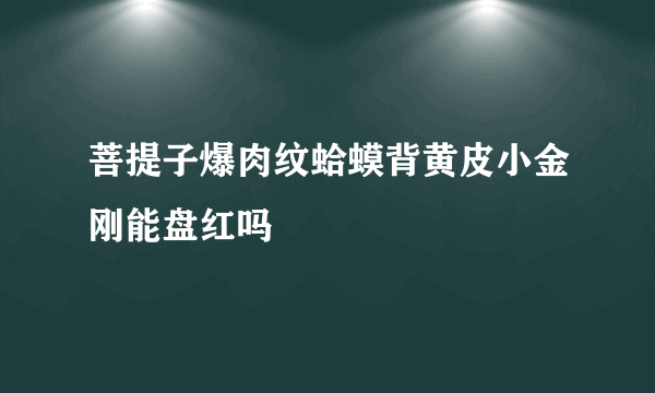 菩提子爆肉纹蛤蟆背黄皮小金刚能盘红吗