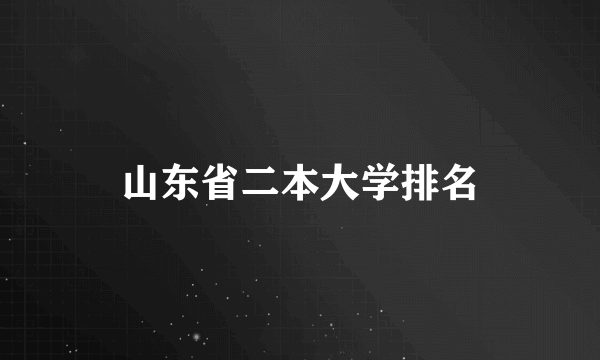 山东省二本大学排名
