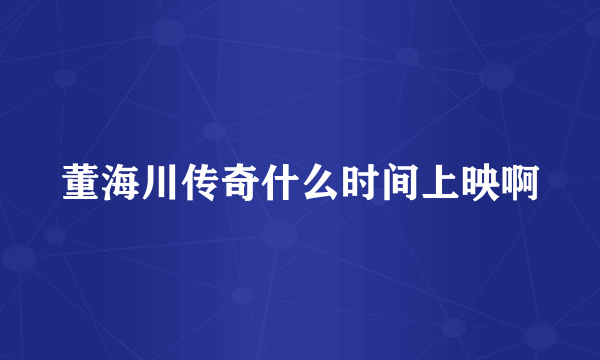 董海川传奇什么时间上映啊