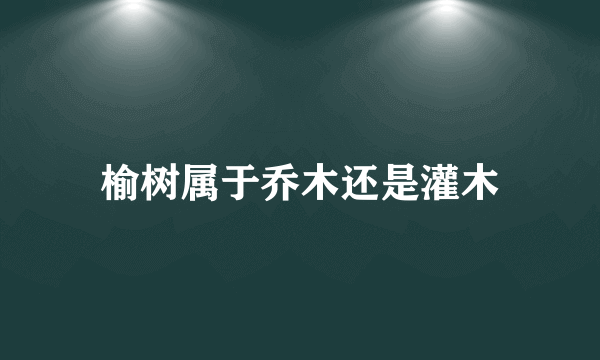 榆树属于乔木还是灌木