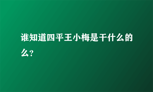 谁知道四平王小梅是干什么的么？