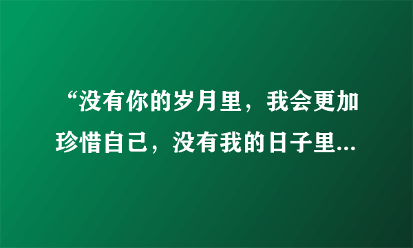 “没有你的岁月里，我会更加珍惜自己，没有我的日子里，你要保重你自己”的歌名是什么