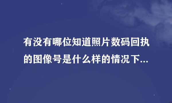 有没有哪位知道照片数码回执的图像号是什么样的情况下时可以在“深圳市居住证综合信息网”上查出图像号呢