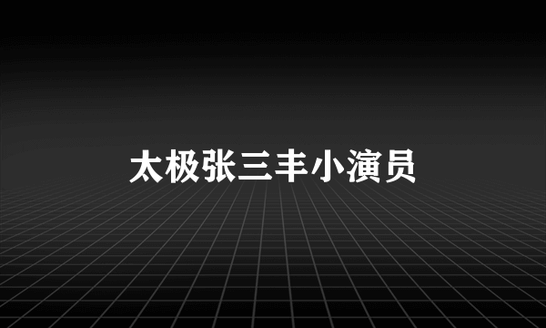 太极张三丰小演员