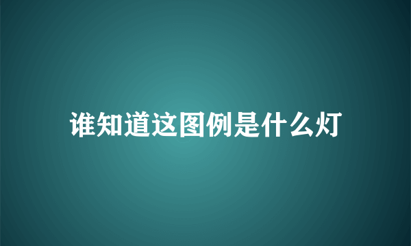 谁知道这图例是什么灯