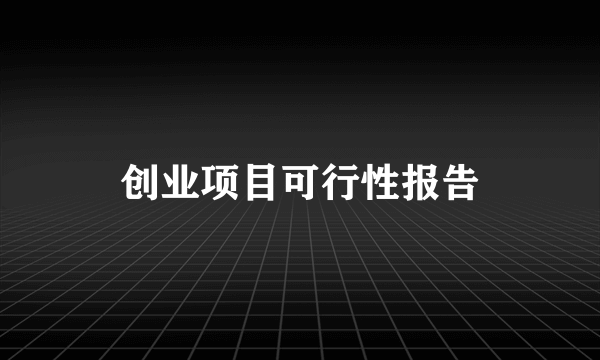 创业项目可行性报告