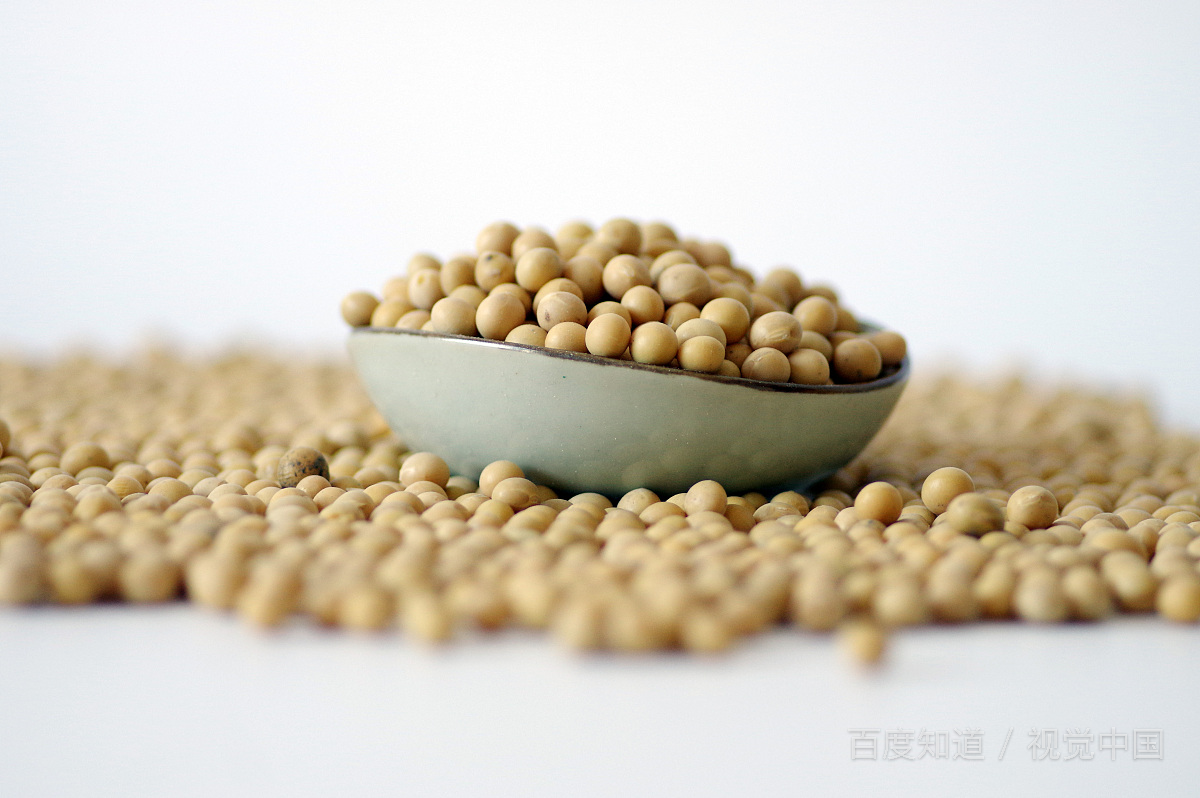 肾结石病人不能吃什么食物