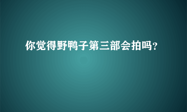 你觉得野鸭子第三部会拍吗？