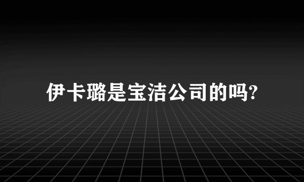 伊卡璐是宝洁公司的吗?