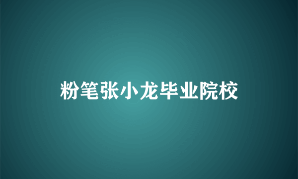 粉笔张小龙毕业院校