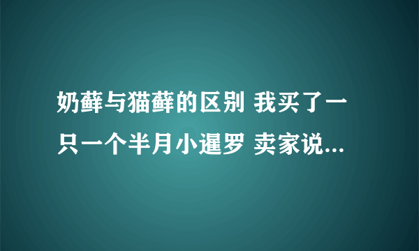 奶藓与猫藓的区别 我买了一只一个半月小暹罗 卖家说有奶藓 很快会自愈 那如何才能真正恢复的快点呢？