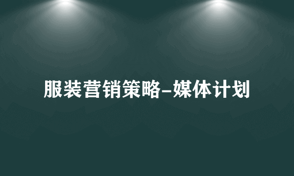 服装营销策略-媒体计划