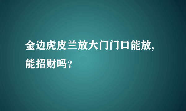 金边虎皮兰放大门门口能放,能招财吗？