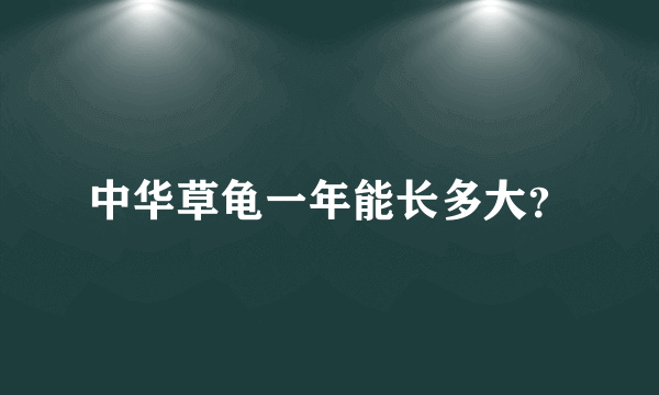 中华草龟一年能长多大？