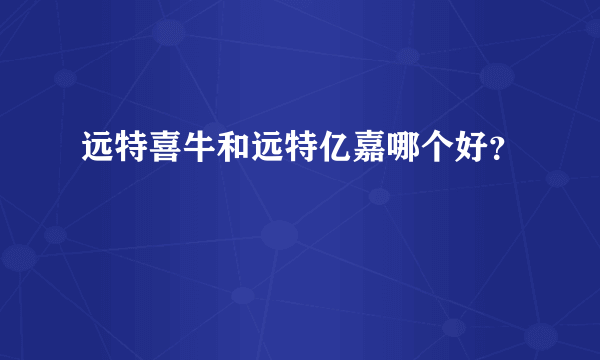 远特喜牛和远特亿嘉哪个好？