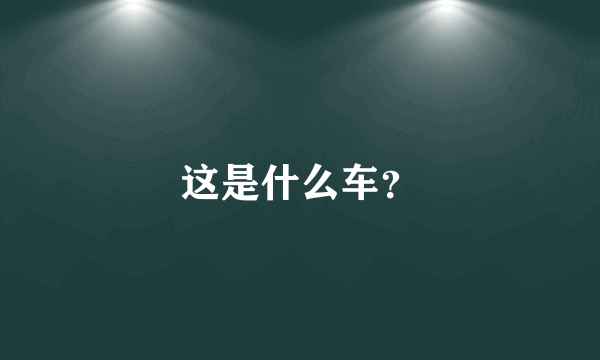 这是什么车？