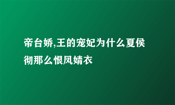 帝台娇,王的宠妃为什么夏侯彻那么恨凤婧衣