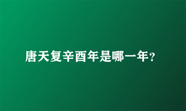 唐天复辛酉年是哪一年？