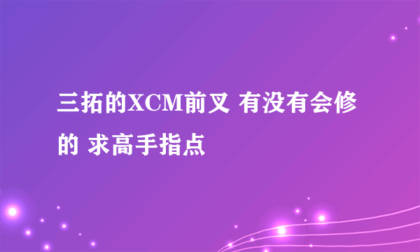 三拓的XCM前叉 有没有会修的 求高手指点
