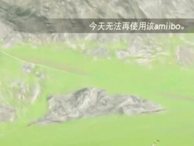 塞达尔传说设置里amiibo是什么意思