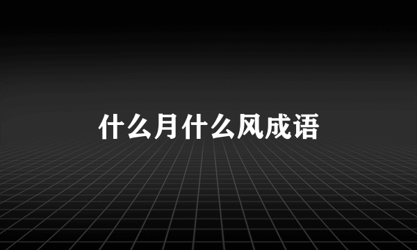 什么月什么风成语