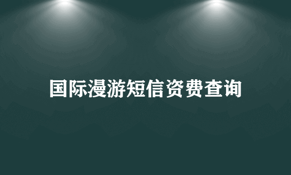 国际漫游短信资费查询