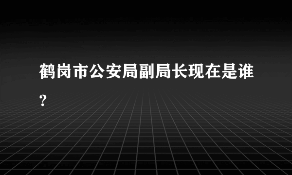 鹤岗市公安局副局长现在是谁?