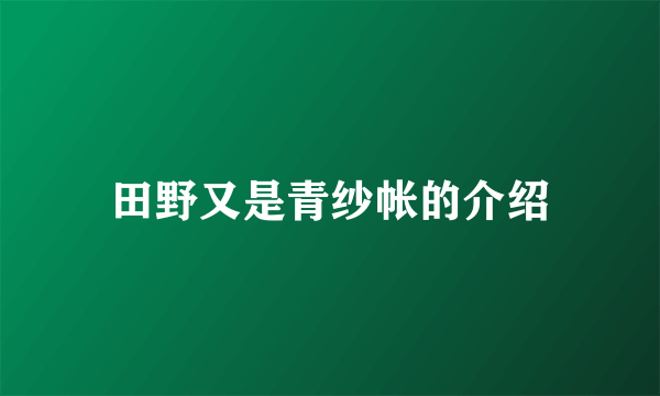 田野又是青纱帐的介绍