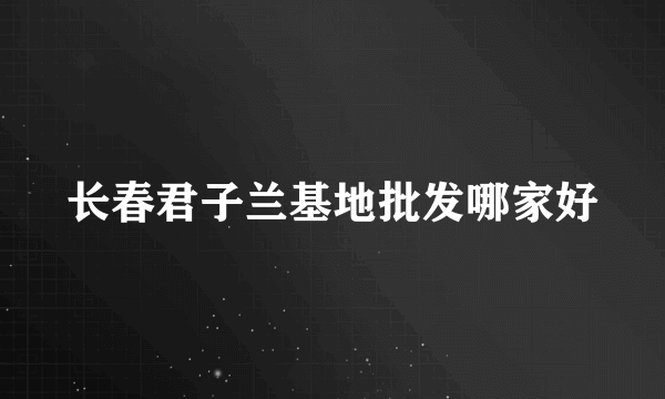 长春君子兰基地批发哪家好