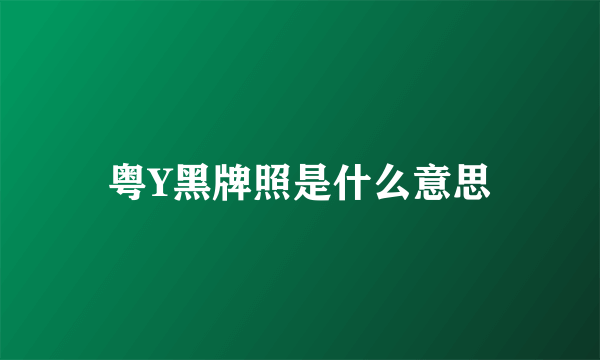 粤Y黑牌照是什么意思