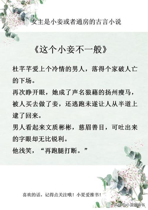 谁有《这个小妾不一般》by明月像饼 小说百度云