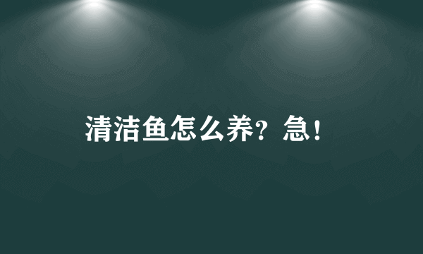 清洁鱼怎么养？急！