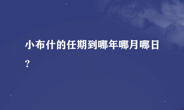 小布什的任期到哪年哪月哪日？