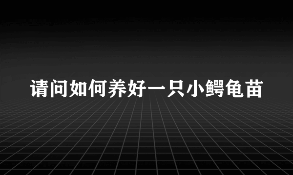 请问如何养好一只小鳄龟苗