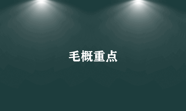 毛概重点