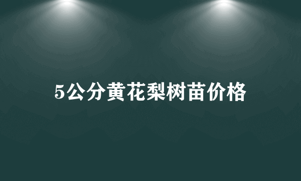 5公分黄花梨树苗价格