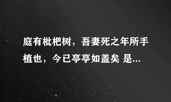 庭有枇杷树，吾妻死之年所手植也，今已亭亭如盖矣 是我植还是妻子植