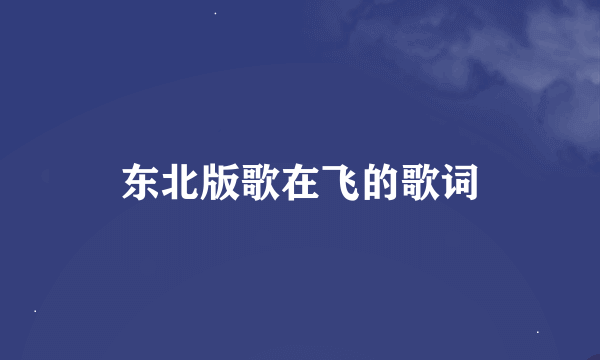 东北版歌在飞的歌词