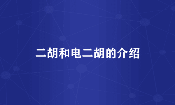 二胡和电二胡的介绍
